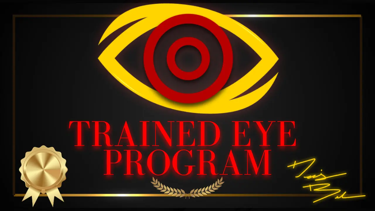 The Trained Eye Program by Denis Bel